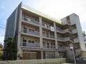 タマンニシキ