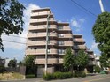 ﾗｲｵﾝｽﾞﾏﾝｼｮﾝ楠葉並木通(208)
