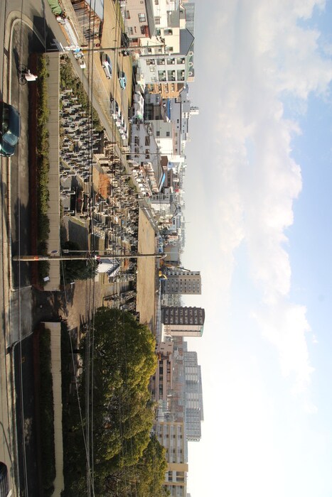 物件内観写真16　(室内からの展望)