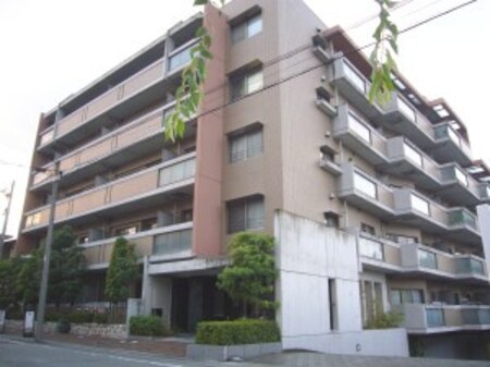 芦屋コンチェルト(204)外観写真
