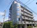 オスティアニシムラ