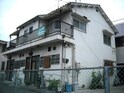 松本文化