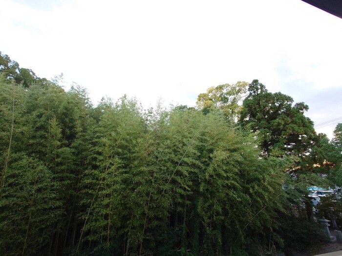 物件内観写真22　(室内からの展望)