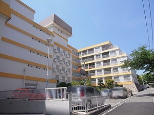 芦屋ロイヤルハイツ(309)外観写真