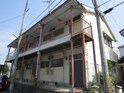 津田文化