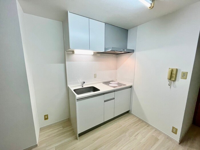 物件内観写真10　(キッチン)