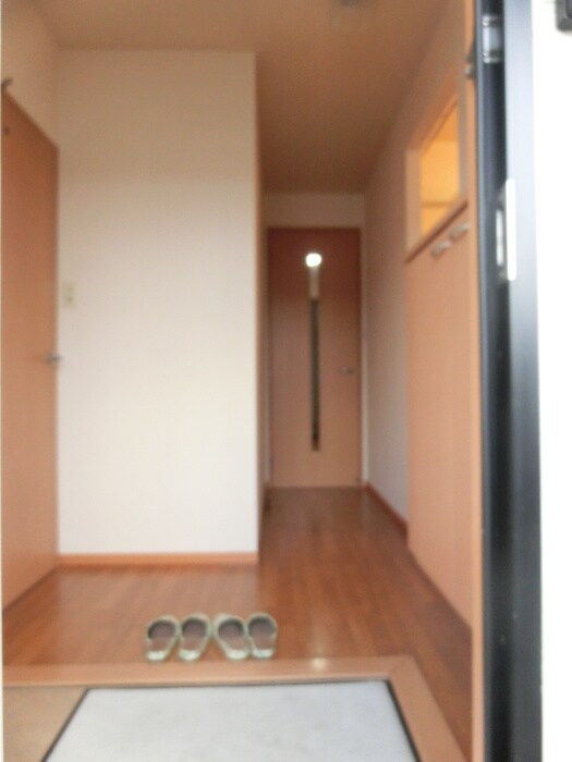 物件内観写真7　(玄関)
