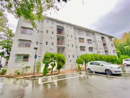 醍醐上ノ山団地Ａ１棟（２０３）外観写真