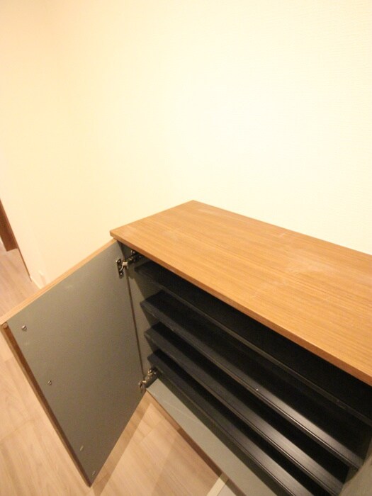 物件内観写真21　(靴箱)