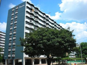 淀川パ－クハウスＥ棟(313)外観写真