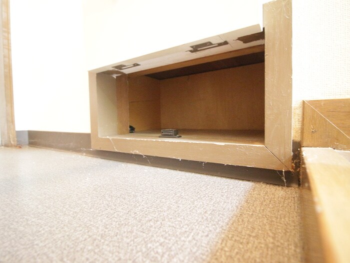物件内観写真21　(靴箱)