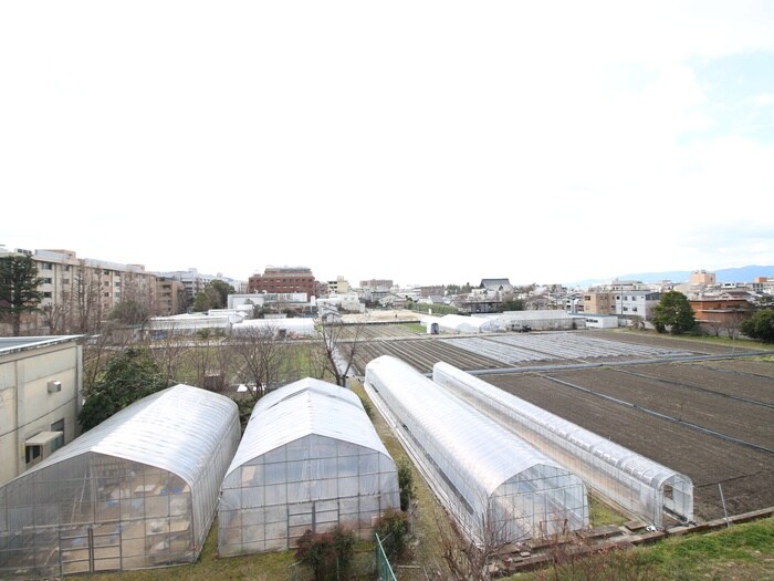 物件内観写真16　(室内からの展望)