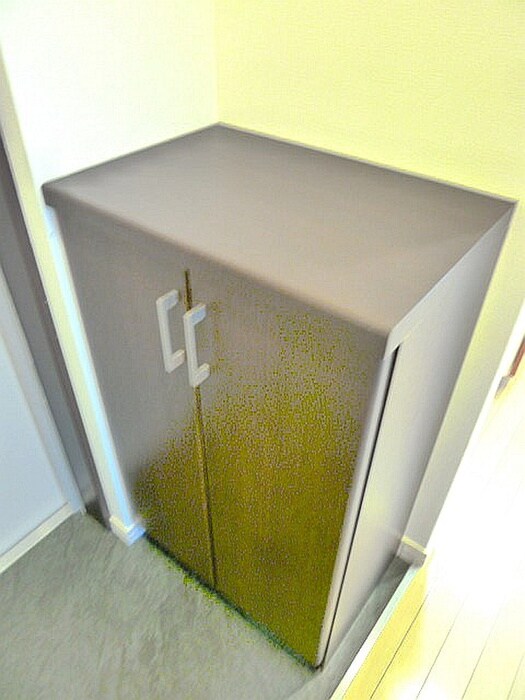 物件内観写真12　(靴箱)