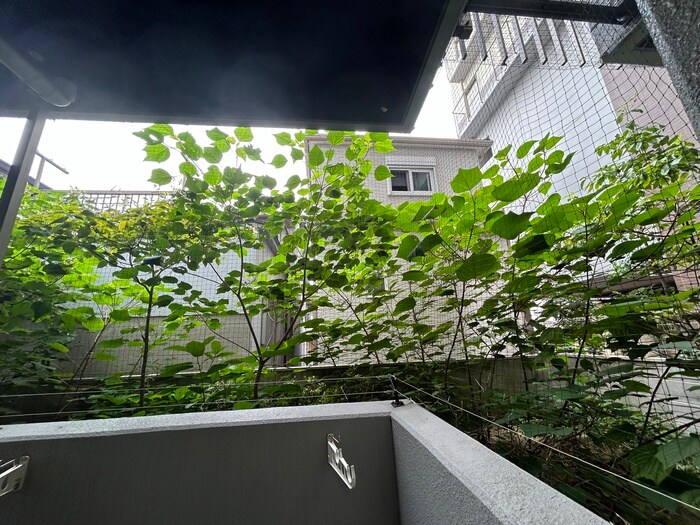 物件内観写真21　(室内からの展望)