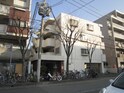 ハイツ　ハシモト