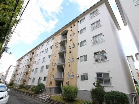 竹の台団地Ｃ２棟(505)外観写真