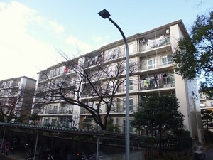 藤阪ハイツＢ２棟(401)外観写真