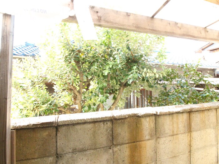 物件内観写真15　(室内からの展望)