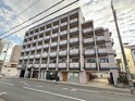 ルピナスKOGOME