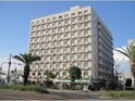 ｽﾃｭﾃﾞｨｵ堺ﾌｪﾆｯｸｽ(1029)