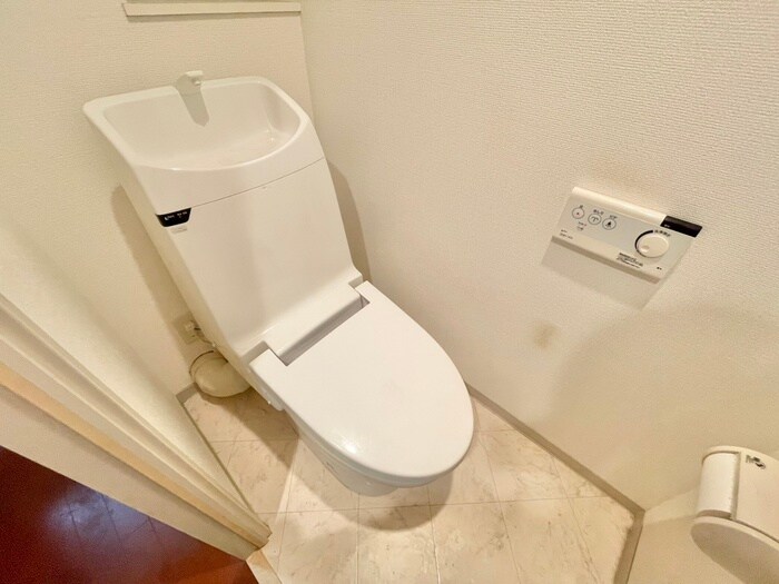 ロイヤルパ－クス桃坂のトイレ