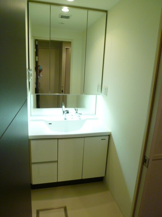 ロイヤルパ－クス桃坂の洗面