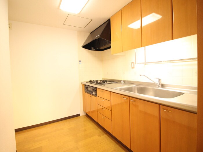 物件内観写真9　(キッチン)
