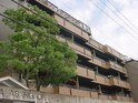 朝日ﾌﾟﾗｻﾞ豊中旭丘弐番館（305）