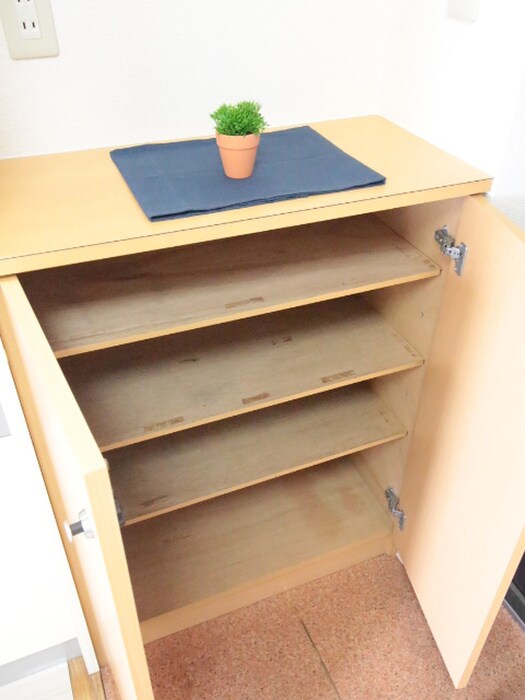 物件内観写真19　(靴箱)