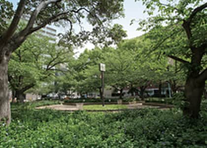 堀江公園