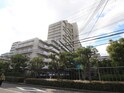 ﾌｧﾐｰﾙﾊｲﾂ明石参番館（241）