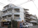 沢アベリア