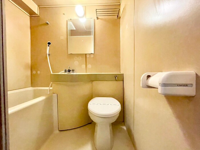 物件内観写真13　(トイレ)