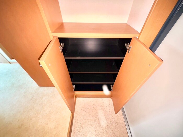 物件内観写真9　(靴箱)