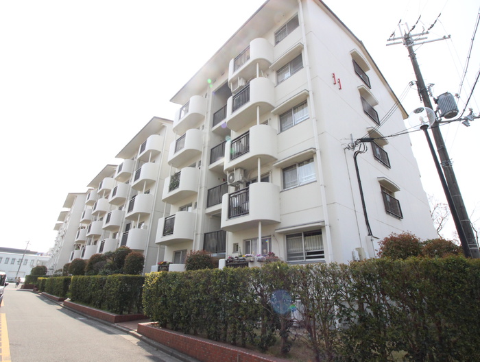 和泉府中団地11棟（502）