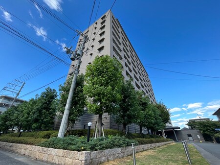 FUJIYAMA　FLATS（602）外観写真