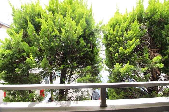 物件内観写真17　(室内からの展望)