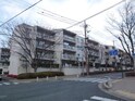 ｼｰｱｲﾊｲﾂ千里桃山台A棟(109)