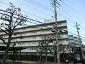 ｸﾞﾗﾝﾊﾟﾃｨｵ枚方（321）