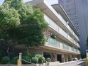 ハイムイワデ