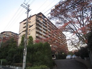 メゾン千里丘Ⅰ棟（９０４）外観写真
