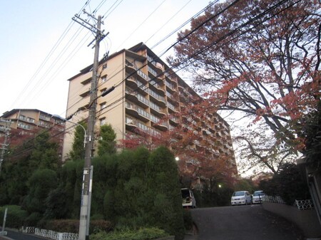 メゾン千里丘Ⅰ棟（９０４）外観写真