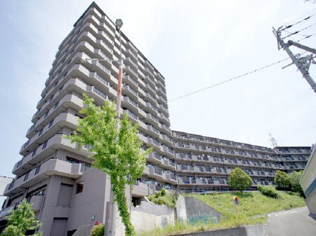 パインフィ－ルド緑地公園(801)外観写真