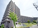 パインフィ－ルド緑地公園(601)
