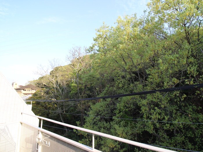 物件内観写真22　(室内からの展望)