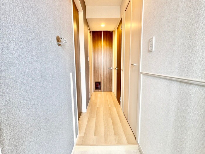物件内観写真19　(廊下)