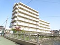 メゾン　サイプリス