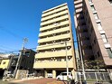 ナンバプレミアムグレース