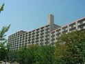 桃山台ｸﾞﾗﾝﾄﾞﾏﾝｼｮﾝD2棟（306）