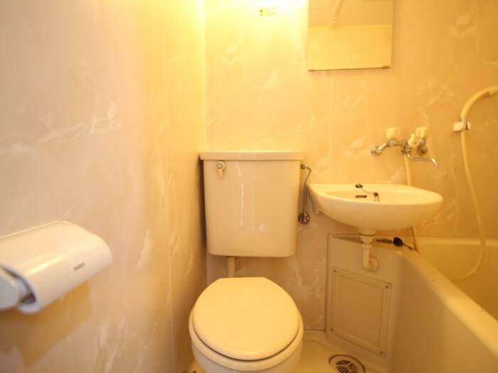 物件内観写真8　(トイレ)